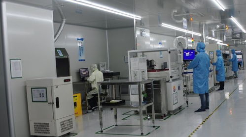 龍崗區(qū)委領導視察安培龍