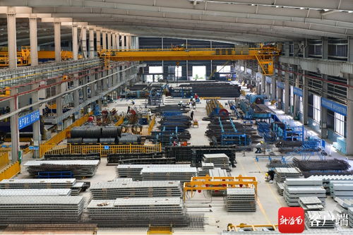 解封后的海口云龍產(chǎn)業(yè)園 建筑工程復(fù)工復(fù)產(chǎn)有序進行中