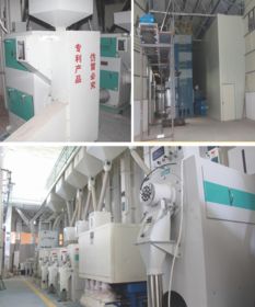 科技賦能，品質為本 揭秘大米企業贏得尊敬與信賴的秘訣